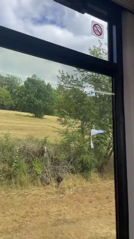 A view from a window shows a landscape with a field of dry grass and a line of trees in the background. A white flag is visible in the field. The sky is cloudy.