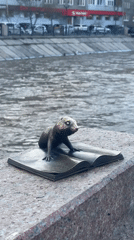 Visitors enjoy sunny day at Krasnoyarsk riverside park