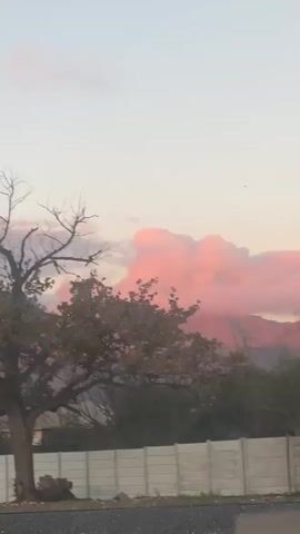 A landscape view features a mountain shrouded in pink clouds at dawn or dusk.  In the foreground, trees are visible, one of which is bare-branched. A low white fence stands near the roadside. The video appears to be taken from inside a moving vehicle. The sky is a pale gradient of pink and gray.