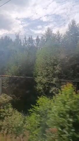 The video shows a blurry, side-view of a landscape passing by. The scene is dominated by lush green trees and foliage. The sky above is cloudy with patches of blue visible. In the distance, a tall, metal electricity pylon can be seen amongst the trees. The footage appears to be taken from a moving vehicle, possibly a train or car, given the motion blur. There are no people visible in the video. The overall impression is one of a natural, rural environment.