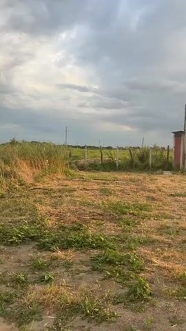 The video shows an outdoor scene with dry grass and weeds in the foreground, and a line of taller grass and plants in the background, bordered by a fence. The sky is cloudy and gray, with a hint of sunlight peeking through in places. The overall impression is one of a rural or overgrown area, possibly at dusk or on an overcast day. There are no people or animals visible in the frame.