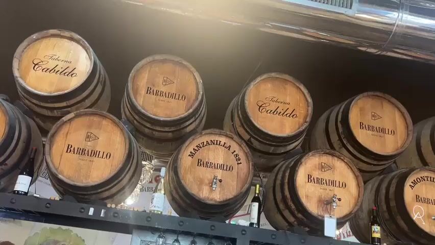 The video pans across a wall lined with wooden barrels, likely in a bar or winery. The barrels are labeled with various names, including "Taberna Cabildo," "Barbadillo," and "Manzanilla 1891." Some barrels have spigots, suggesting they are actively used for dispensing beverages. Several wine bottles and glasses are visible on shelves below the barrels. The lighting in the scene is somewhat dim, with a bright light source, possibly a spotlight or the sun, creating a lens flare effect in the upper right portion of the frame. The overall environment appears to be an interior space, likely a commercial establishment. No people are clearly visible or actively engaged in the frame. The camera movement is a slow, smooth pan from left to right.