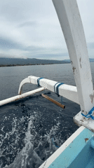 Traditional outrigger canoe filmed sailing calm Indonesian waters