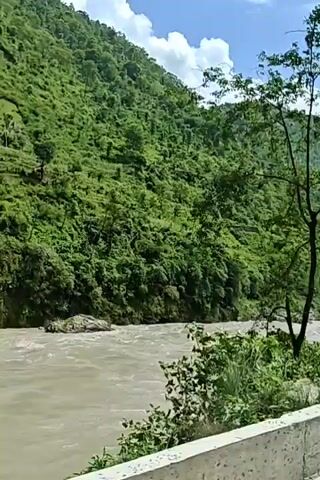 The video shows a river flowing through a valley, surrounded by lush green hillsides. The sky is partly cloudy with a bright blue expanse. The river appears to be wide and somewhat murky, with visible ripples indicating a moderate current. The hills are densely covered with vegetation, suggesting a natural, undeveloped landscape. In some areas, the hillsides appear to be terraced, possibly for agriculture. There are trees scattered throughout the scene, both on the slopes and closer to the riverbank. The camera appears to be mounted on a moving vehicle, as evidenced by the slight jolt and panoramic movement of the view. A concrete barrier, possibly a roadside railing, is visible in the foreground along the bottom of the frame. There are no visible people or animals in the video. The overall impression is of a scenic, rural or wilderness area, likely in a mountainous region.