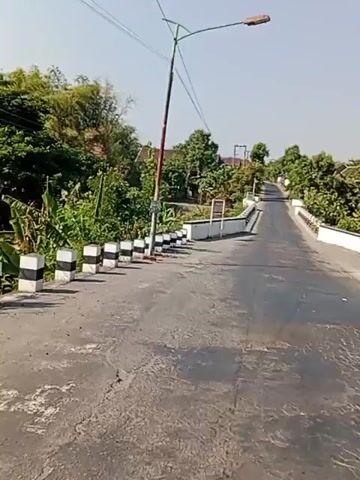 The video shows a view from a moving vehicle, likely a motorcycle, traveling on a paved road. The road appears to be in moderate condition with some cracking visible on the surface. On the left side of the road, there are striped black and white bollards, a utility pole, and lush green vegetation. On the right side, there is a white bridge railing with black and white striped posts and more green foliage. The road curves slightly uphill and leads towards a cluster of trees and buildings in the distance. The sky is clear and blue, suggesting a sunny day. There are no people clearly visible in the video. The movement of the vehicle creates a sense of forward motion and a slight vibration, indicated by the subtle shakiness of the camera.