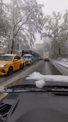 Heavy snowfall documented across city streets during morning hours