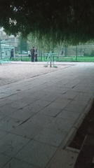 Witness documents ordinary street scenes during afternoon stroll