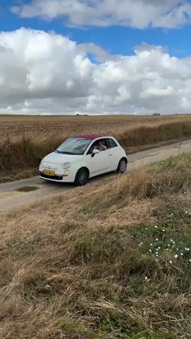 A white Fiat 500 convertible with a red roof drives on a dirt road in a rural setting. A person is visible in the driver's seat, with their arm out the window. The car is surrounded by dry grass and fields. The scene then shifts to a close-up of a white cow in a field, followed by a wider shot of a herd of cows lying down in a dry, grassy field. The sky is cloudy.