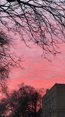 Pink and purple sky captured by witnesses in Chicago