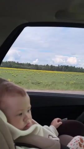 The video captures a baby in a car seat, positioned in the back of a vehicle. The baby, with light-colored hair, is wearing a light-toned top and appears calm, looking out the car window or slightly downwards. Through the window, a rural landscape unfolds, featuring a vast green field abundantly dotted with yellow flowers. Beyond the field, a dense forest of green trees stretches towards the horizon, under a bright sky with scattered white clouds. The car is in motion, as indicated by the continuously passing scenery; a white road sign briefly flashes by the window. The setting appears to be daytime, with clear natural light. The scene depicts a car journey through a scenic, open area, consistent with the location context of Bikbarda, Russia. Russian speech and music are audible in the background throughout the video. The baby is seen holding a small, dark object in its hand.