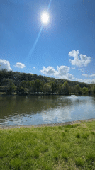 Peaceful afternoon documented at Pleven lake park, Bulgaria