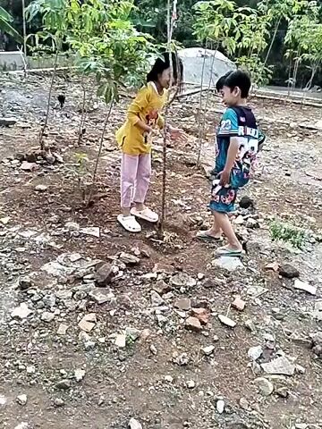 Two children, a girl wearing a yellow shirt and pink pants, and a boy wearing a blue and green shirt and blue shorts, are in a garden area. The girl is standing near a small tree, while the boy is facing her. The ground is covered with dirt, rocks, and some scattered bricks. There are several small trees and plants around them, with lush greenery and trees in the background. A makeshift structure, possibly a shed, is visible in the background. The children appear to be interacting, with the boy clapping his hands. The video is somewhat pixelated and blurry.