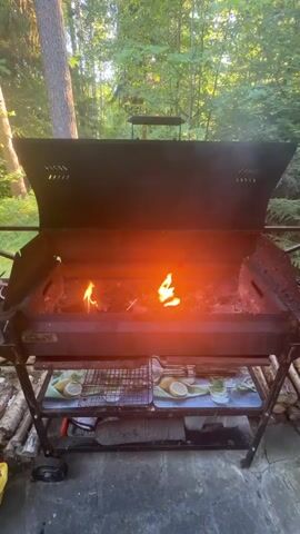 The video shows a large black barbecue grill with an open lid. Flames are burning inside the grill, casting an orange glow. The grill is outdoors, with trees and greenery visible in the background. The sun appears to be shining, as indicated by the lighting. There are some logs or firewood stacked near the base of the grill. A metal rack with a few lemons printed on it is visible beneath the grill's cooking area. The scene appears to be set up for grilling.