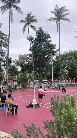 The video shows an outdoor court with a pink surface and white markings, likely for a sport. Tall palm trees and lush green trees surround the court. Several people are visible, some playing a sport that involves hitting a ball over a net, possibly Sepak Takraw, given the players' attire and the ball's trajectory. One person is sitting on a chair on the left side of the frame, observing the game. The sky is overcast, suggesting a cloudy day. There are also lights on poles and some athletic equipment, like bags and water bottles, near the court.