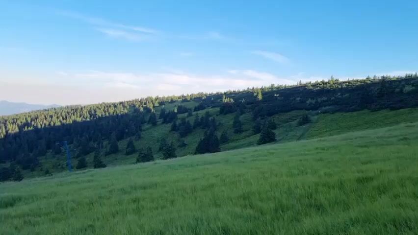 This media file captures a scenic mountain landscape in Martin, Slovakia. The scene is dominated by rolling green hills covered in tall grass, with scattered evergreen trees dotting the slopes. In the background, a dense forest of pine trees descends from the crest of the hill, casting long shadows across the landscape. Further in the distance, a valley opens up, revealing a town nestled amongst rolling hills and distant mountains. The sky is a clear blue with a few wispy clouds, suggesting a pleasant day. The lighting indicates it's either early morning or late afternoon, with the sun casting warm light on the scene. There are no people visible, but a ski lift tower with a cable is present on the slope, hinting at potential recreational activities. The overall mood is tranquil and serene, emphasizing the natural beauty of the mountainous region. No visible text is present.