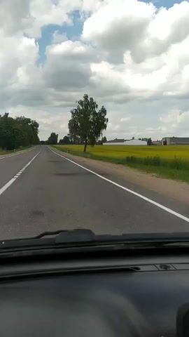 The video shows a POV shot from inside a car driving on a paved road. The road has a white solid line on the right edge and a broken white line separating lanes. The road appears to be in fair condition with some patches. To the right of the road, there is a field of bright yellow flowers, likely rapeseed, stretching into the distance. A single tall tree stands in the field near the roadside. Further in the distance, there are some trees on the left side of the road and some buildings are visible. The sky is partly cloudy with white clouds against a blue sky. The dashboard of the car is visible in the foreground. The video captures the continuous motion of driving through a rural landscape.