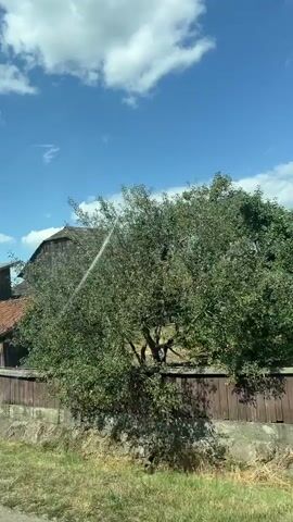 This video shows a view from inside a vehicle, looking out at a village scene. The camera pans from left to right, capturing various houses and structures. The houses appear to be older, with wooden elements and tiled roofs. There are trees and vegetation visible, as well as a clear blue sky with some clouds. The video also shows a wooden fence in the foreground and a rusty metal guardrail, suggesting the vehicle is on a road or path. There are power lines and a utility pole visible in some shots. One shot briefly shows a pedestrian crossing sign. The overall impression is a rural or semi-rural setting.
