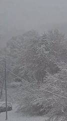 Late spring snowfall blankets Elektrostal, Russia in April