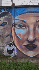Street art and urban scenes documented in Temuco, Chile