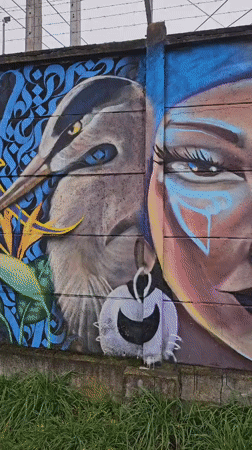 Street art and urban scenes documented in Temuco, Chile