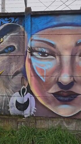 Street art and urban scenes documented in Temuco, Chile