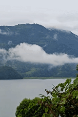 Phewa Lake and clouded hills from Pokhara's forested viewpoints