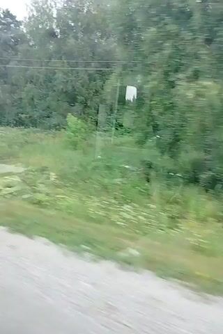 The video shows a blurry, outward-facing view from a moving vehicle, likely a car or bus, with foliage and trees passing by. The scene is dominated by green vegetation, including grass, bushes, and trees. There are some indistinct structures and possibly power lines visible in the background. The road surface is visible in the foreground, and appears to be wet in some areas, suggesting recent rain. The sky is overcast and appears grey. There are no people or specific identifiable objects clearly visible in the frame. The video captures a brief moment of travel through a natural, possibly rural or suburban, environment.