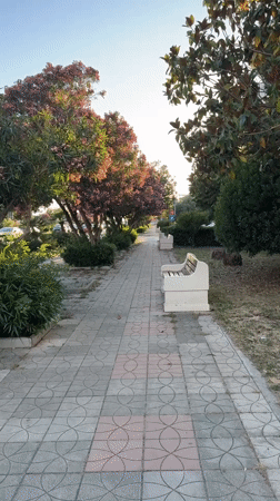 Daily life moments captured across Polje, Montenegro neighborhood