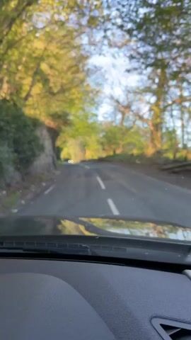 The camera is mounted within a car, looking out over the dashboard as the car drives along an asphalt road. The road has a white line marking the center, and is lined with trees on both sides, forming a canopy overhead. The trees are green with new leaves, suggesting springtime. The sun is shining, casting dappled light on the road and dashboard. A grey stone wall runs along the left side of the road. Another car is driving in the opposite direction. The camera lens is sometimes in and out of focus. The dashboard is grey and beige leather, with a red instrument cluster. The car drives smoothly along the road.