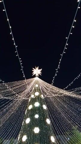 The video shows a very tall, brightly lit Christmas tree at night. The tree is illuminated with thousands of tiny, warm-toned lights, and there is a large, star-shaped light at the very top. The tree has some larger, white, snowflake-shaped lights scattered throughout its body. There are some additional strings of lights extending outward from the top of the tree. The background is a dark night sky. At the base of the tree, there appear to be some gold-colored, box-shaped decorations. The camera angle is looking up at the tree.