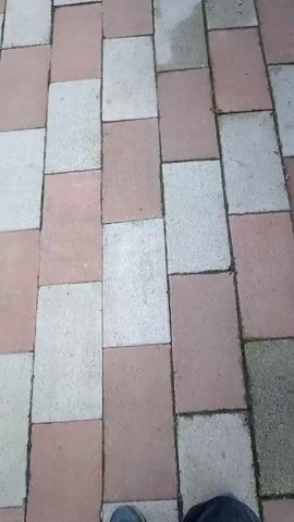 The video shows a first-person perspective of someone walking on a brick path. The path is made of alternating red and gray rectangular bricks. A brown metal fence runs alongside the path on the right. In the background, there is a building with multiple windows, trees, and streetlights. A car is parked behind the fence. The sky is overcast. The person wearing blue shoes with orange laces continues walking forward along the path.