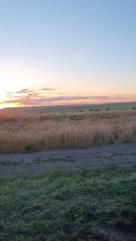 The media file depicts a rural landscape at sunset, with a field of wheat in the foreground. The sky is a gradient of blue and orange, with scattered clouds. The sun is low on the horizon, casting a warm glow over the scene. A dirt road runs through the field, and there are a few scattered trees and power lines in the distance. The overall mood is peaceful and serene. The time of day is sunset, and the weather appears to be clear. The location is Blizhnee, Ukraine. There is no visible text in the media file.