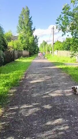 A white and brown dog on a leash walks on a gravel path beside a grassy area. In the background, two people are walking away from the camera, with trees and houses on either side of the path. The sky is blue with some clouds.