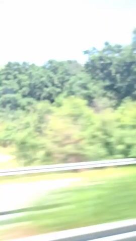 The video shows a billboard for Milka chocolate advertising an ice cream bar. The billboard is purple and features an image of the ice cream bar. The billboard is located next to a highway, with trees and green foliage in the background. A white truck with a red stripe and a blue train car are visible in motion. The video is shot from a moving vehicle, likely a car, as indicated by the blurred scenery. The sky is blue and clear, suggesting a sunny day.
