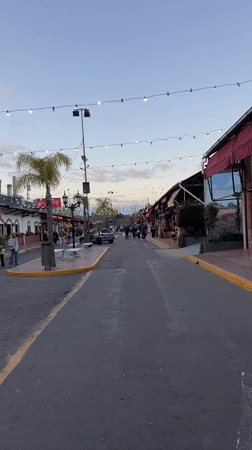 String lights and red awnings along a Tigre street at night