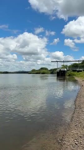 The video captures a tranquil river scene under a bright blue sky dotted with fluffy white clouds. The water's surface is calm, with gentle ripples reflecting the sky and the surrounding greenery. On the right bank, a gravelly shore leads to a concrete structure with a gate mechanism, possibly part of a dam or sluice. In the distance, rolling hills covered in lush green trees form the horizon. The overall impression is one of natural beauty and peacefulness on a sunny day.