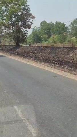 The video shows a road with vegetation on the side. A yellow truck with a dark tarp covering its cargo is driving away from the camera on the right side of the road. The truck is moving forward. The road appears to be paved and in good condition. The surrounding area is dry and dusty, with scattered trees and bushes. The sky is hazy.