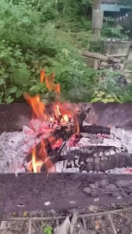 The video shows a close-up view of a barbecue grill with a fire burning. The fire consists of logs and embers, with flames reaching upwards and smoke gently rising. The grill is made of dark metal and is filled with ashes and burning wood. The background is blurred, showing green foliage and some out-of-focus structures, suggesting an outdoor setting. The camera is static, focusing on the fire and the grill. The overall mood is calm and perhaps domestic, highlighting the natural elements of fire and nature.