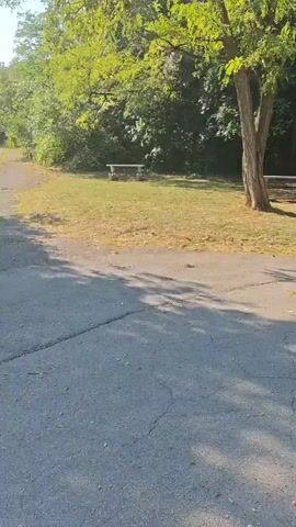 The video shows a park scene on a sunny day. The camera is moving, giving a first-person perspective of someone walking. The path is paved with asphalt and is lined with grass and trees. There are picnic tables visible in the background. The trees are lush and green, indicating it is likely summer or early fall. The sky is blue and clear. The ground is mostly dry, with some patches of yellowed grass. The scene appears to be a tranquil and natural setting, likely a public park or recreational area.