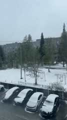 Morning workout and snowy views documented by anonymous witness