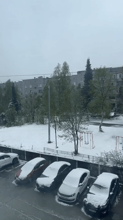 Morning workout and snowy views documented by anonymous witness
