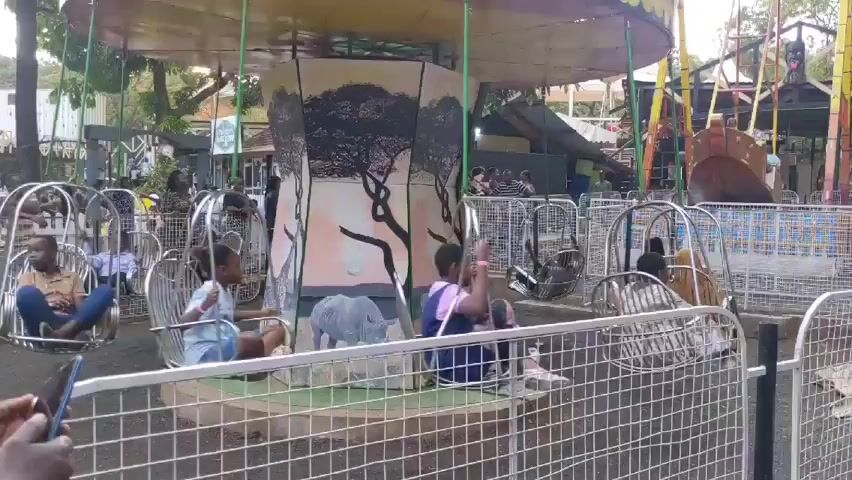 The video shows a children’s amusement park. There are two rides visible: a traditional swing ride with multiple seats hanging from a central disc-shaped structure, and a larger swing with a swinging gondola that appears to be shaped like an animal (possibly an elephant or bear). Children and some adults are riding the swings. The area is enclosed by metal fencing. Other people can be seen standing around, watching the rides. The environment appears to be outdoors, with trees and other structures visible in the background. The video is shot from behind a fence, and the camera seems to be hand-held, as there is some slight movement. There is music playing in the background.