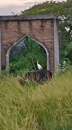Daily life moments documented across Lhokseumawe, Indonesia