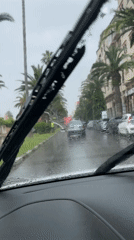 Heavy rain impacts traffic on palm-lined street in Safi