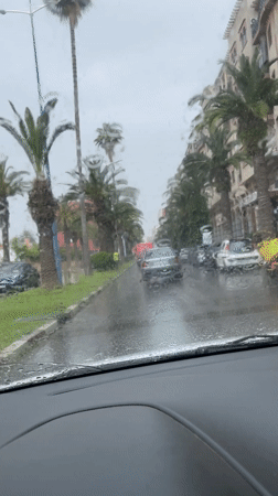 Heavy rain impacts traffic on palm-lined street in Safi