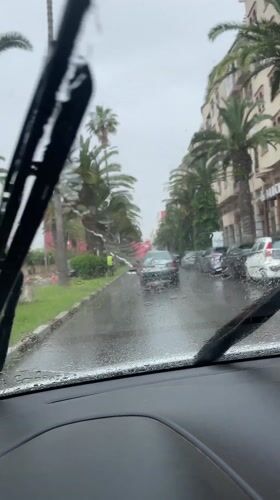 Heavy rain impacts traffic on palm-lined street in Safi