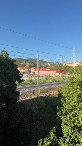 A train travels on railroad tracks past a row of buildings. The train is light gray with a red stripe on the front, and its side has a blue and white design with a red stripe and the word "Intercity." The surrounding environment is lush with green trees and foliage, with a clear blue sky overhead. The buildings in the background are colorful, with orange and pink roofs. The train is moving from left to right across the frame.