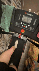 Person exercises, takes selfie on treadmill in Perm home