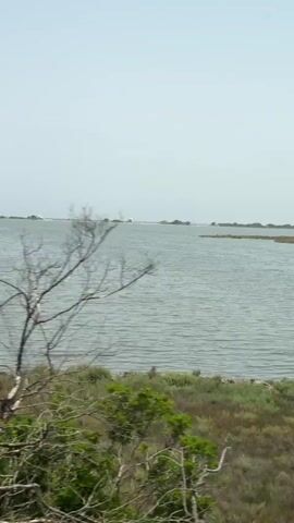 A body of water with distant landmasses is visible under a hazy sky. The foreground features low-lying vegetation. A white boat with a raised structure is seen in the distance on the water. The camera appears to be moving, as evidenced by the slight blurring of the foreground vegetation and the shifting perspective of the distant landscape.