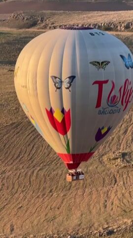 In a captivating aerial view, a large, light-colored hot air balloon gracefully ascends or hovers over an arid, earthy landscape. The balloon, adorned with vibrant red and yellow tulips and several butterfly designs, prominently displays the text "TULIP BALLOONS" in red script. A registration number "T-BT2" is visible on two sections of the balloon.

The balloon's basket, with "SOGAN" written on its side, is filled with passengers, who appear small from this perspective. The golden light bathing the scene suggests either an early morning sunrise or a late afternoon sunset. The continuous, loud whooshing sound of the hot air balloon's burner firing indicates that it is actively being heated to maintain or increase altitude. The ground below consists of dry, rocky terrain, typical of the Yeşilhisar region in Turkey.